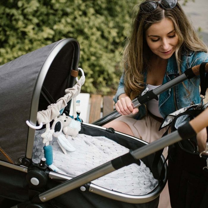 Žaislas vežimėliui/kėdutei "RACCOON"