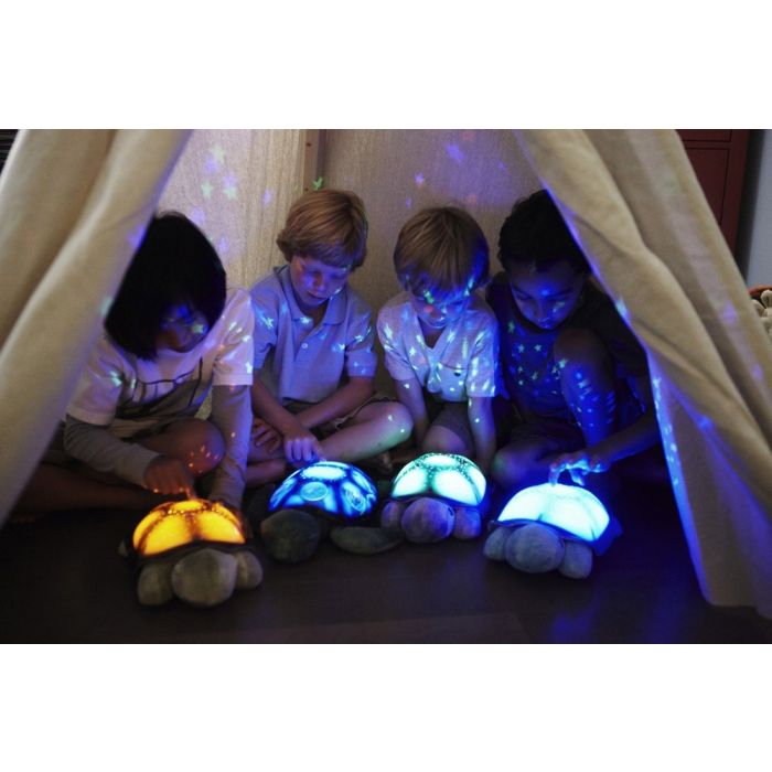 Cloud B naktinė lemputė - migdukas Turtle pink