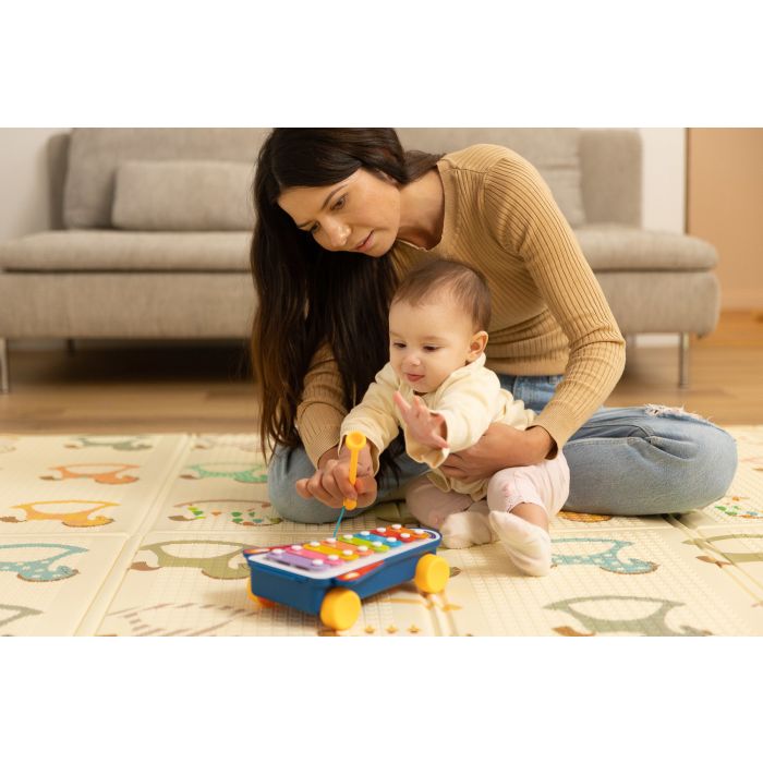 Lavinamasis žaislas kūdikiui  "Music"