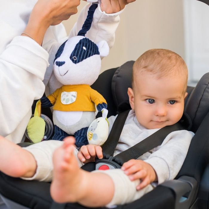 Pakabinamas žaislas kūdikiui "Edmund" 